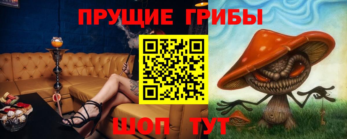 Псилоцибиновые грибы Psilocybe Каменск-Уральский